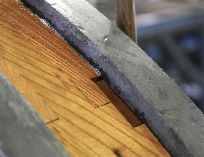 �����E���V���I�R