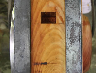 �����E���V��