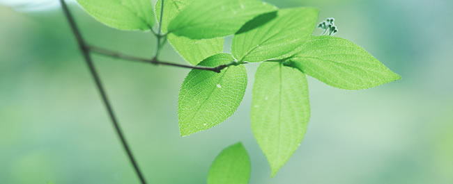 �|��Q���Q���R